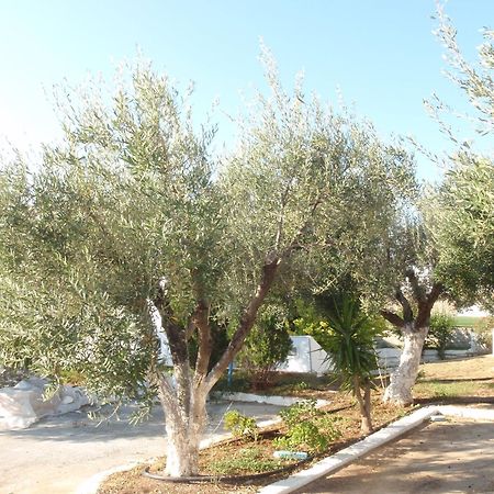 Amaryllis Front Beach Hotel لاردوس المظهر الخارجي الصورة