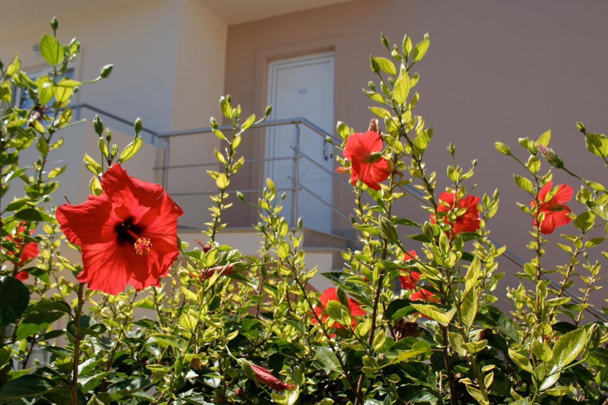 Amaryllis Front Beach Hotel لاردوس المظهر الخارجي الصورة