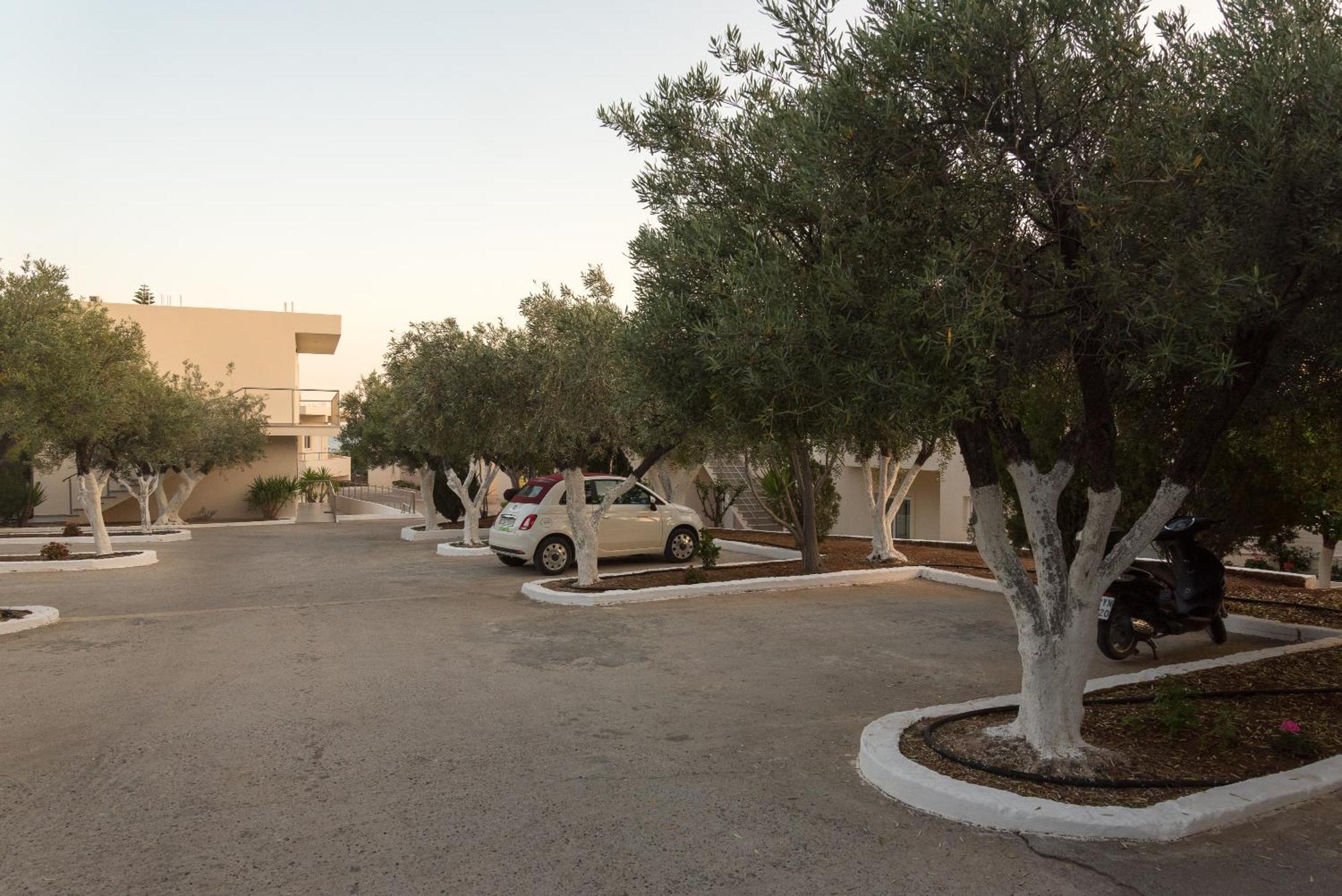 Amaryllis Front Beach Hotel لاردوس المظهر الخارجي الصورة