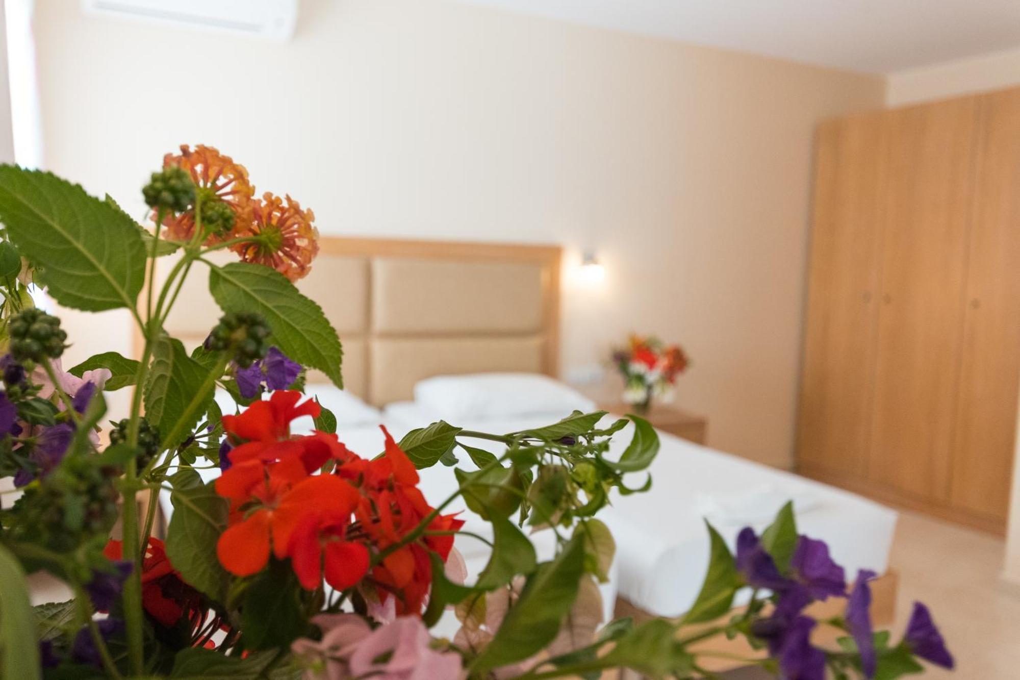 Amaryllis Front Beach Hotel لاردوس المظهر الخارجي الصورة